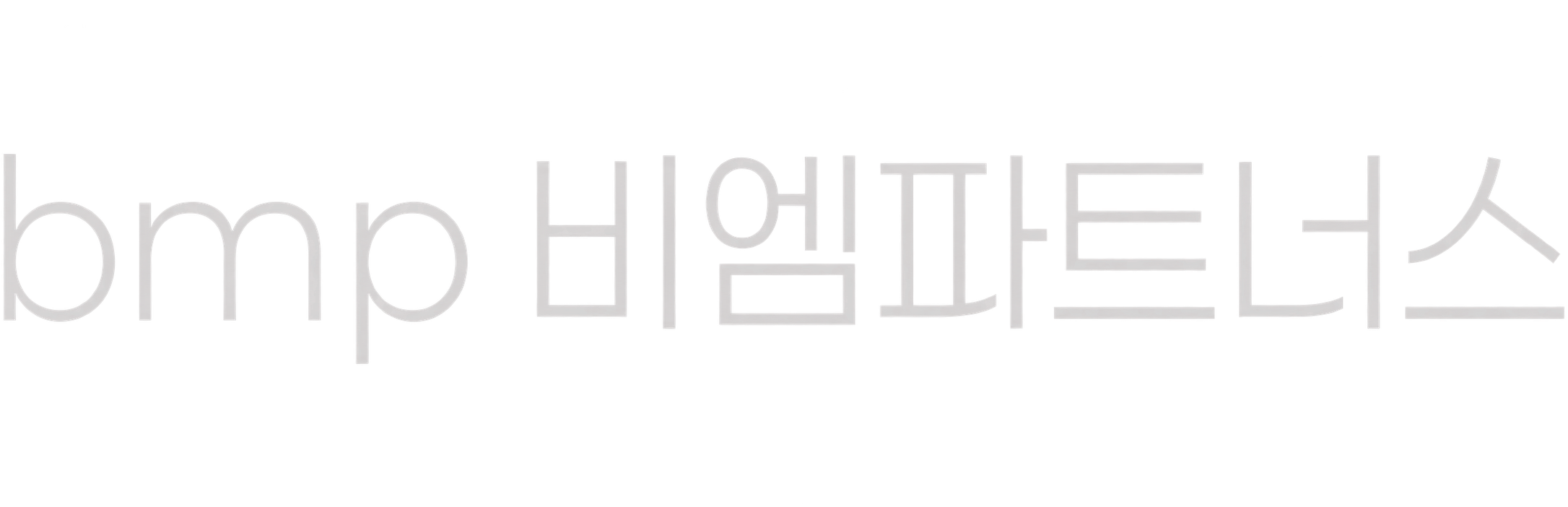 BM Partners